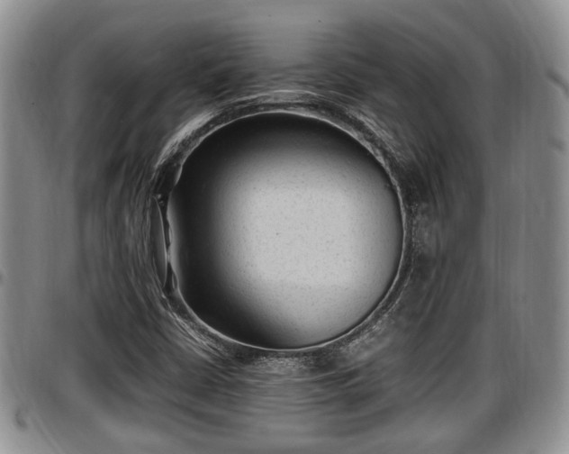 X0000097501402200802291548