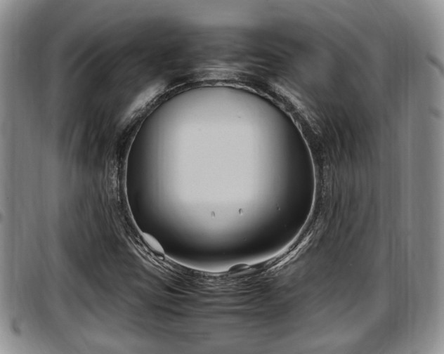 X0000097501403200802291548