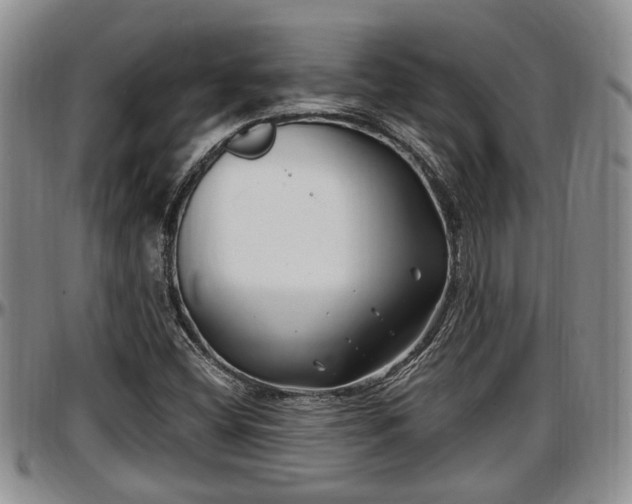 X0000097501404200802291548
