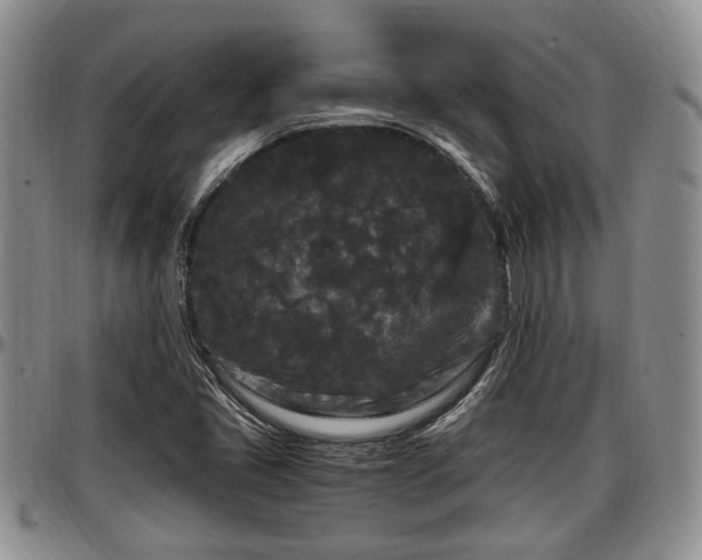 X0000097501405200802291548
