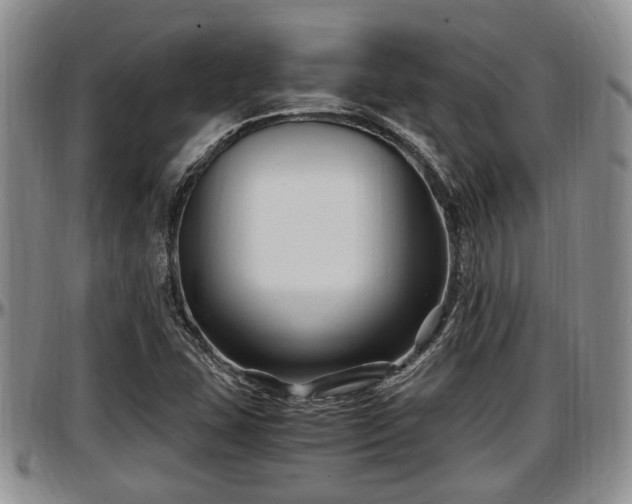 X0000097501407200802291549