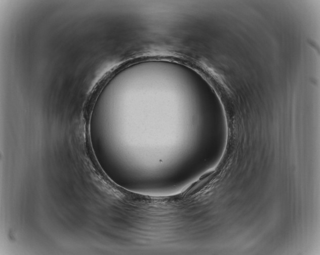 X0000097501408200802291549