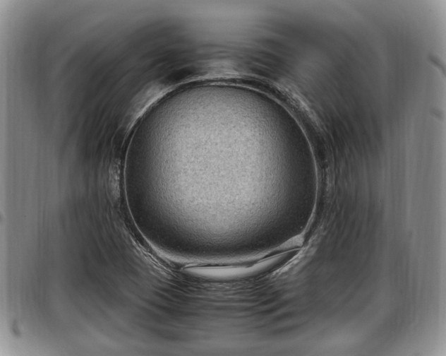 X0000097501409200802291549