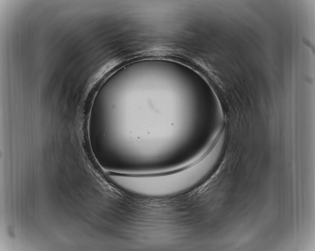X0000097501410200802291549