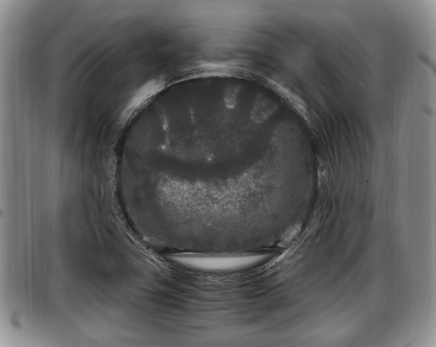 X0000097501411200802291549