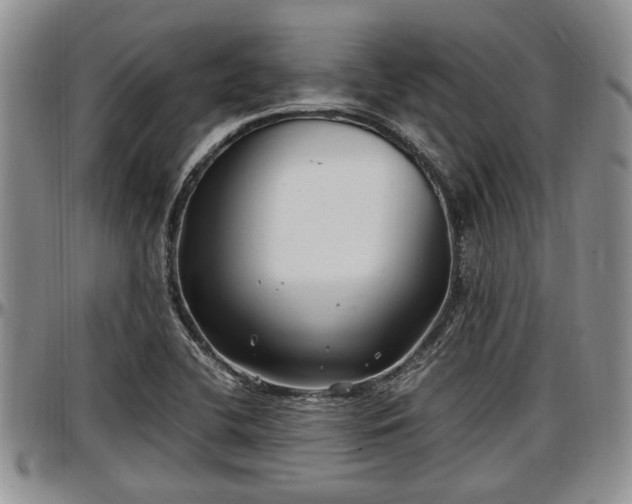 X0000097501412200802291549