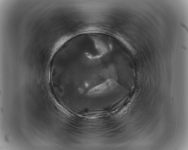 X0000097501413200802291549