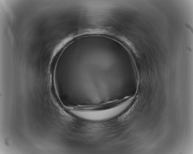 X0000097501414200802291549