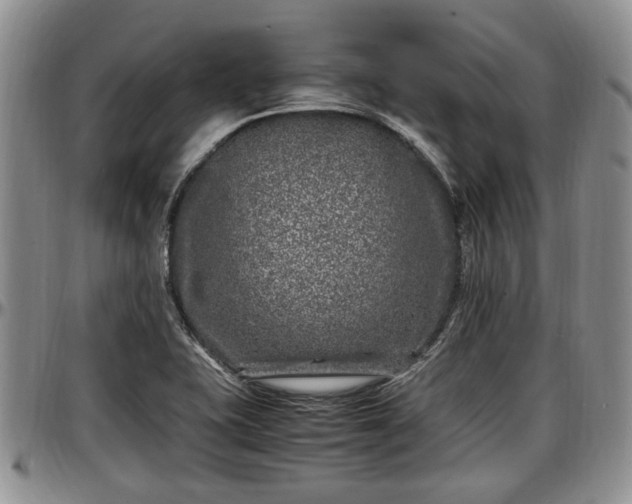 X0000097501415200802291549