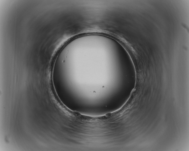 X0000097501416200802291549