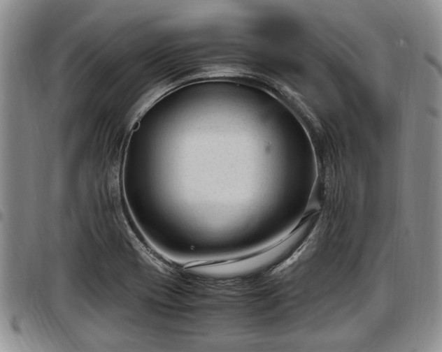 X0000097501417200802291549
