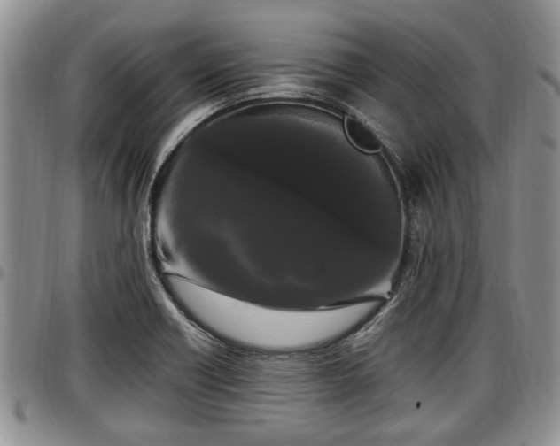 X0000097501418200802291549