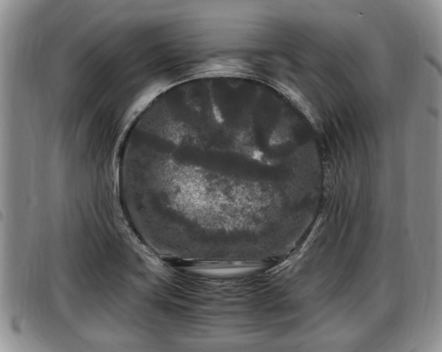 X0000097501419200802291549
