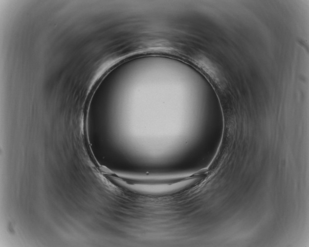 X0000097501420200802291549