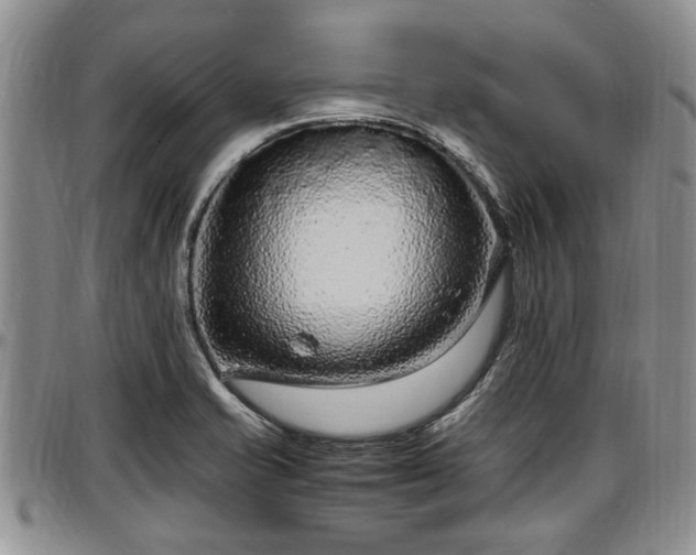 X0000097501421200802291549