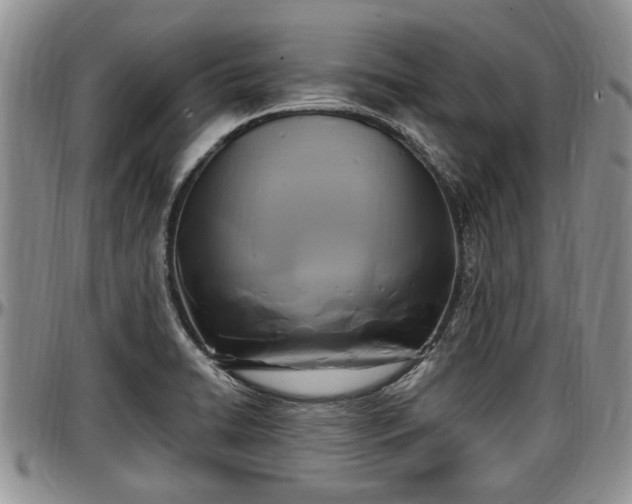 X0000097501422200802291549
