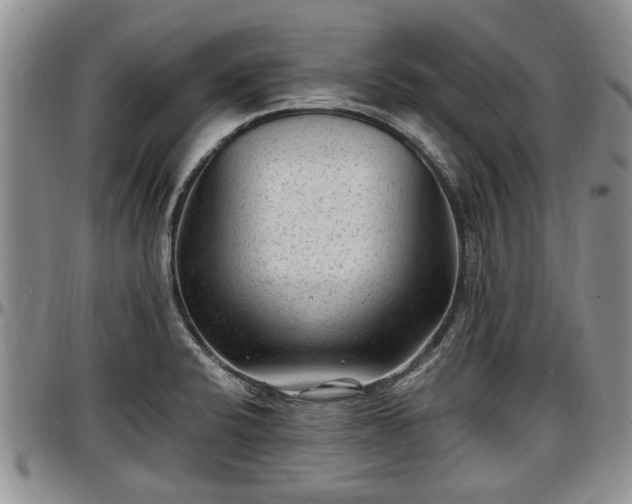 X0000097501424200802291549