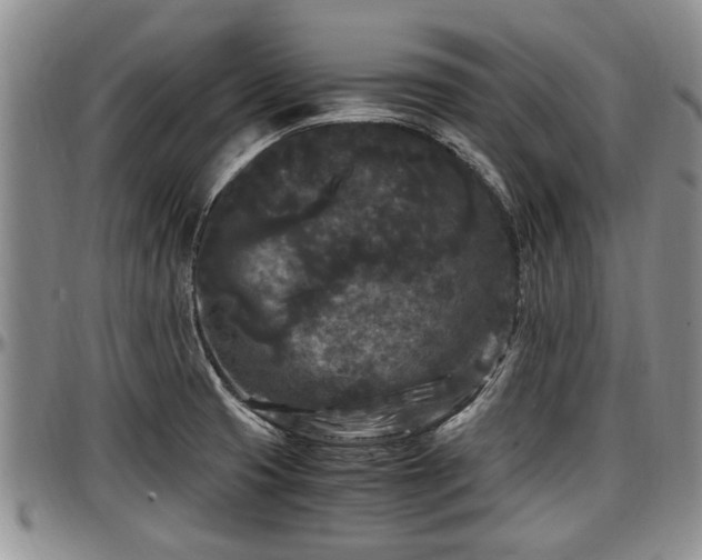 X0000097501425200802291549