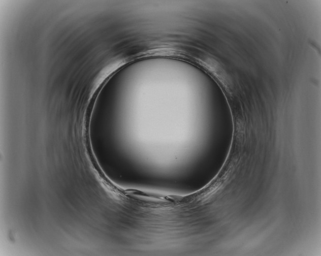 X0000097501426200802291549