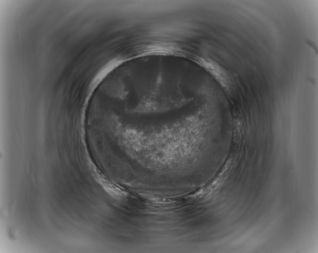X0000097501427200802291549