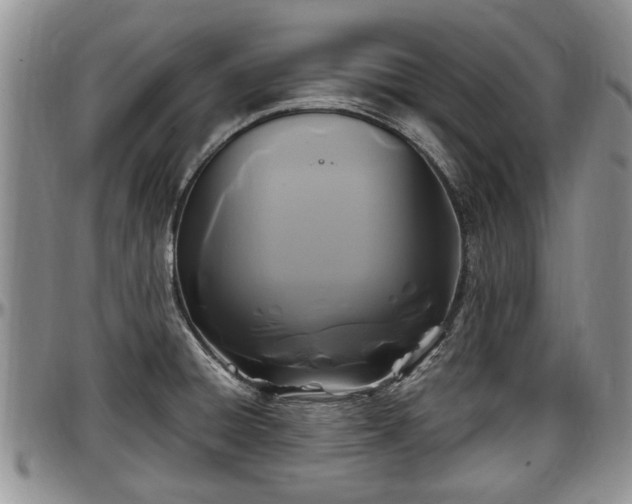 X0000097501428200802291549