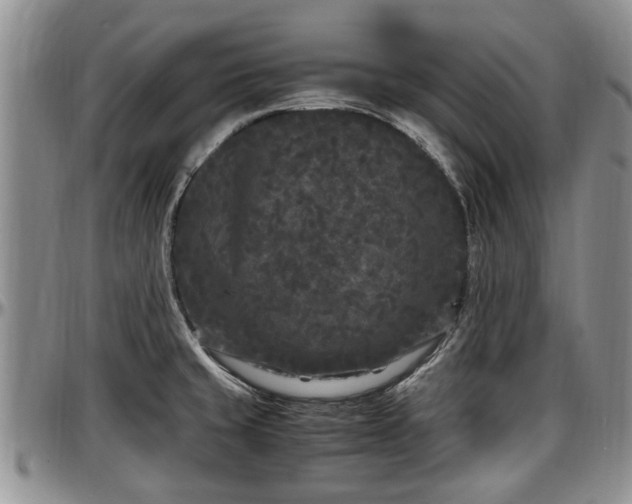 X0000097501429200802291549