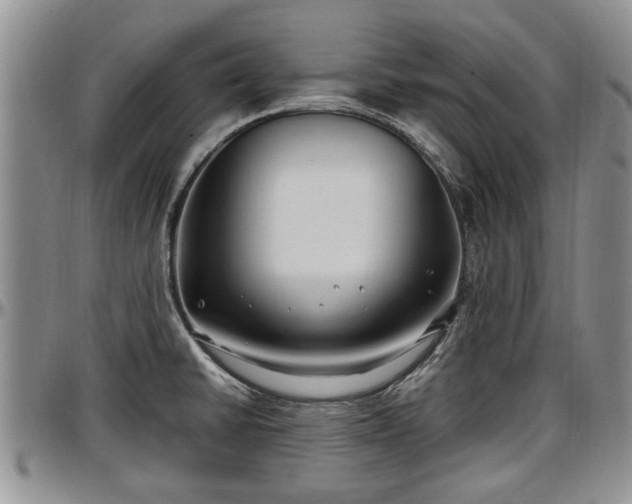 X0000097501430200802291549