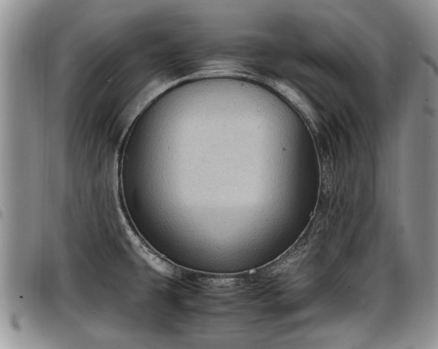 X0000097501431200802291549