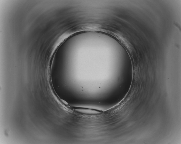 X0000097501432200802291549