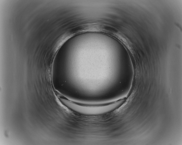 X0000097501433200802291549