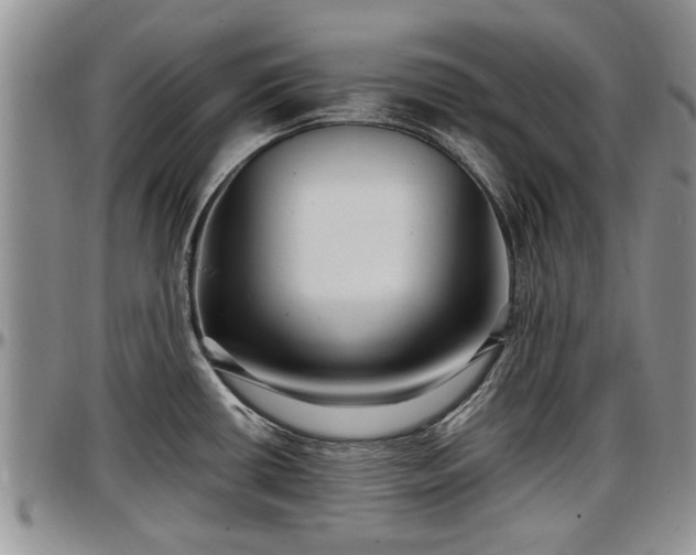 X0000097501434200802291549