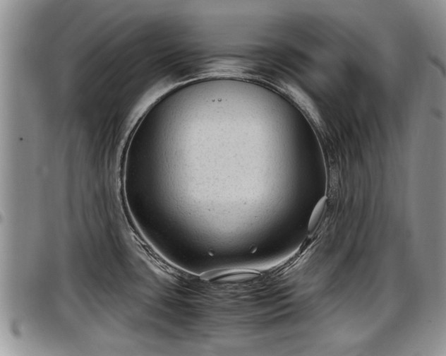 X0000097501435200802291549