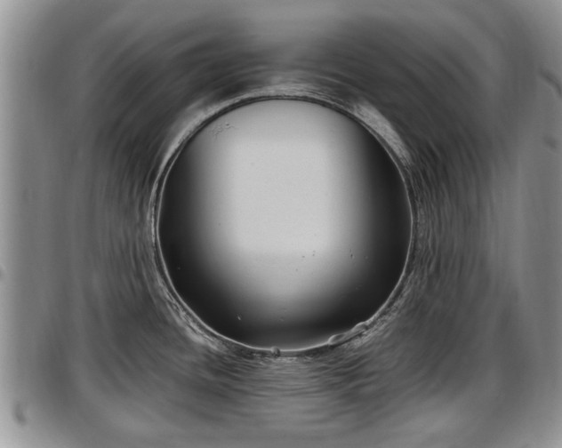 X0000097501436200802291549