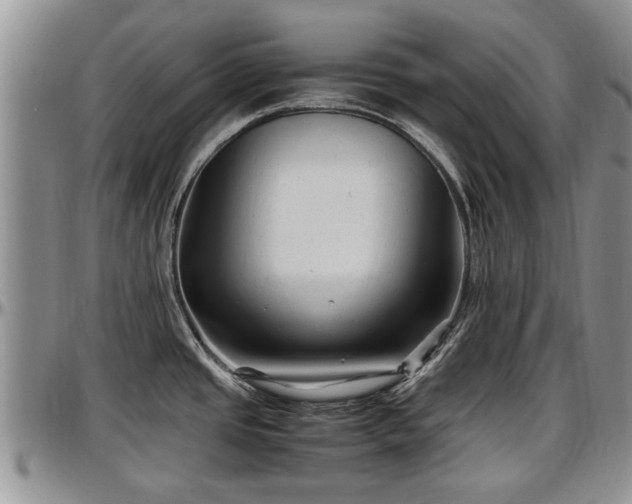 X0000097501437200802291549