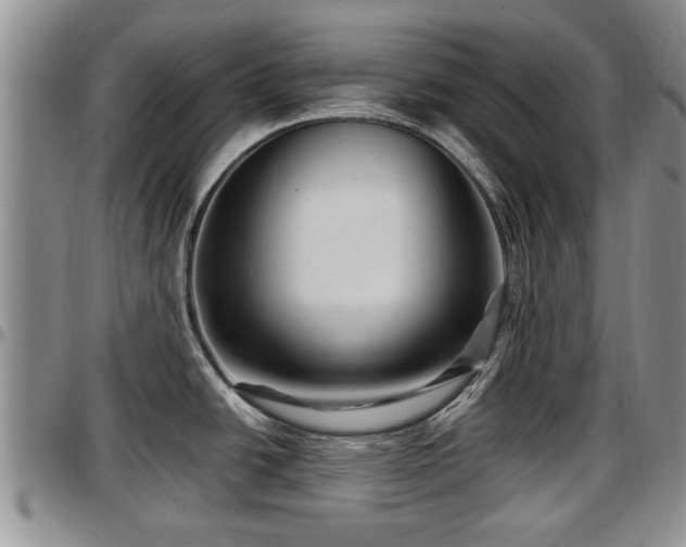 X0000097501438200802291549