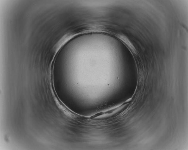 X0000097501439200802291549