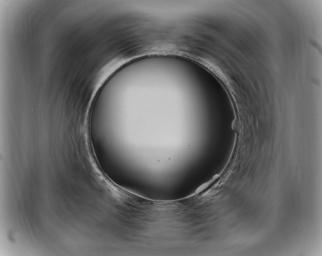X0000097501440200802291549