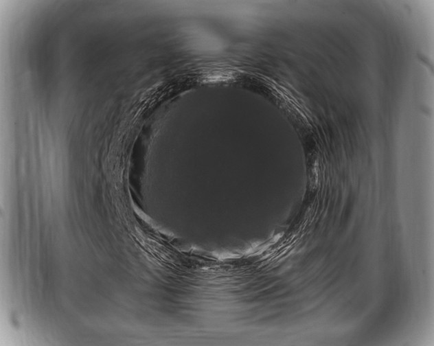 X0000097501441200802291548