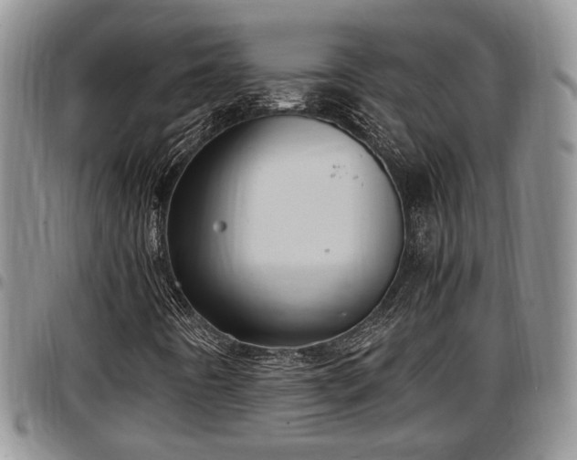X0000097501442200802291548
