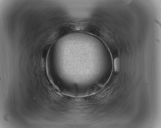 X0000097501443200802291548