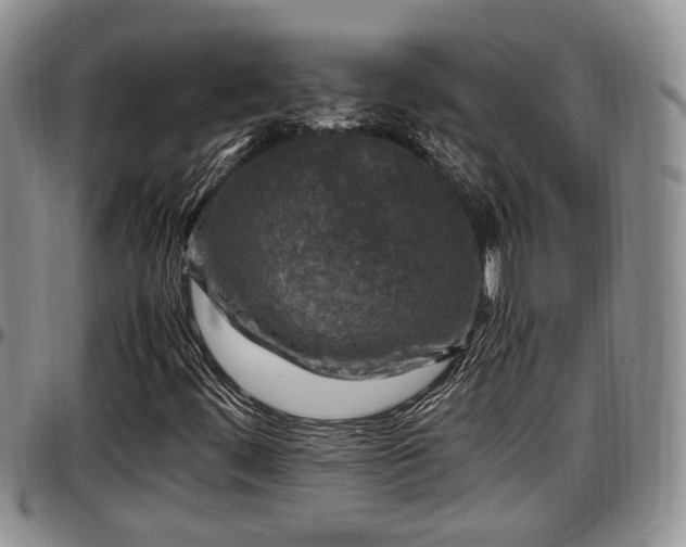 X0000097501444200802291548