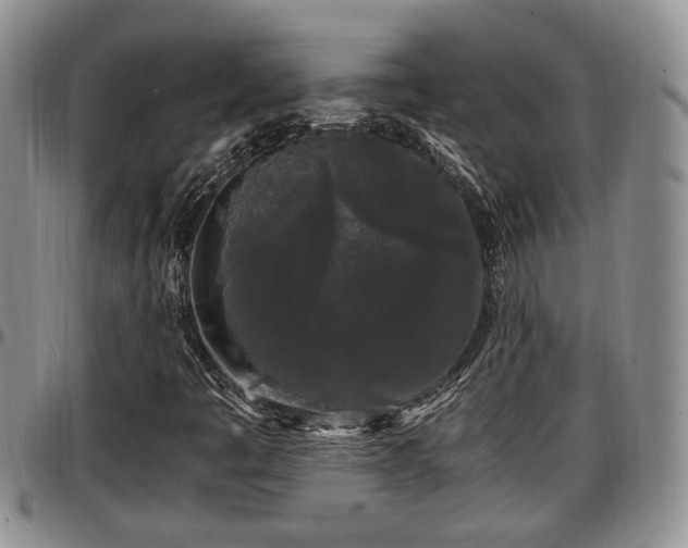 X0000097501445200802291548