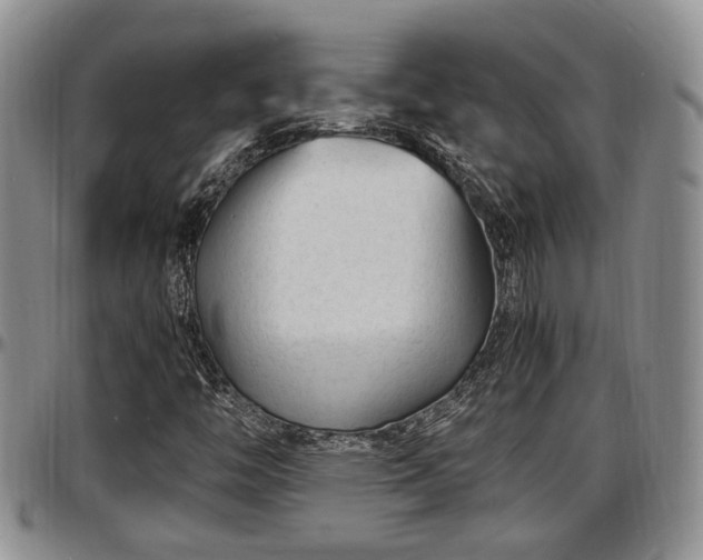 X0000097501446200802291548