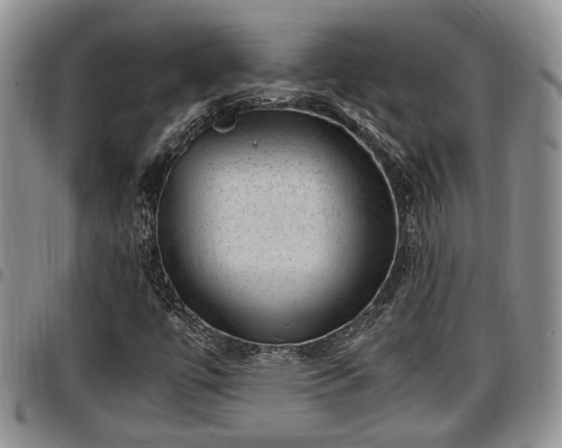 X0000097501447200802291548