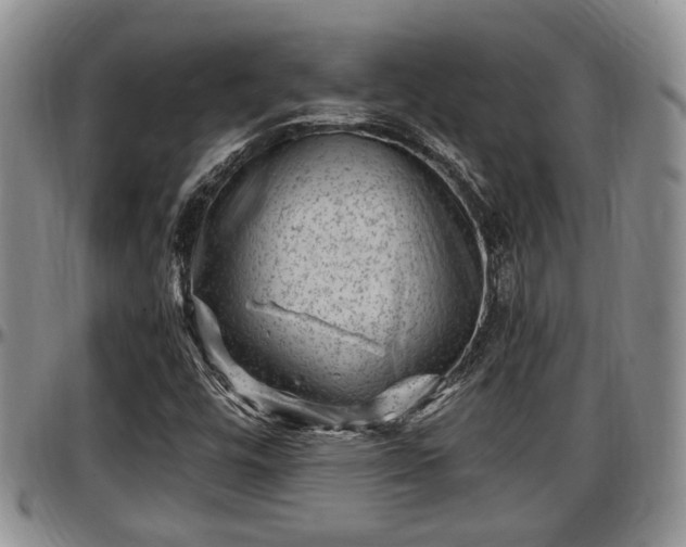 X0000097501448200802291548