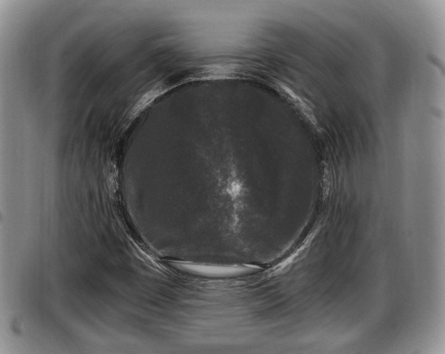X0000097501449200802291548