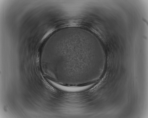 X0000097501450200802291548