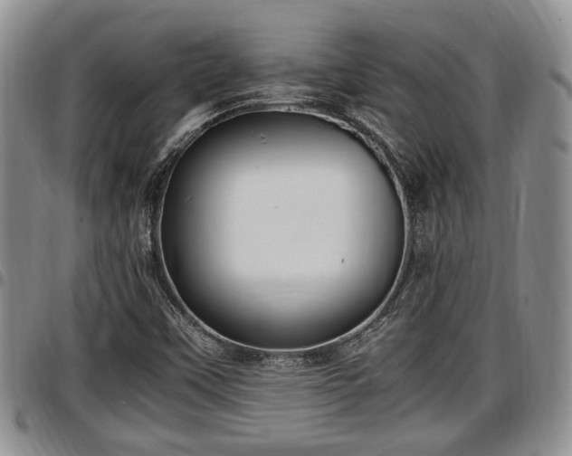 X0000097501451200802291548