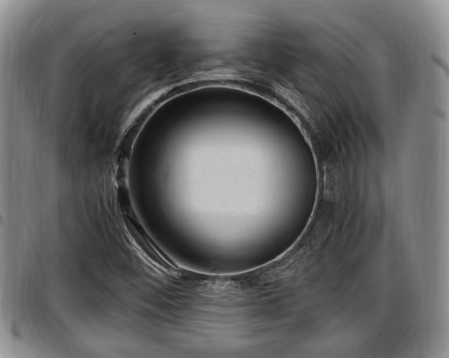 X0000097501452200802291548
