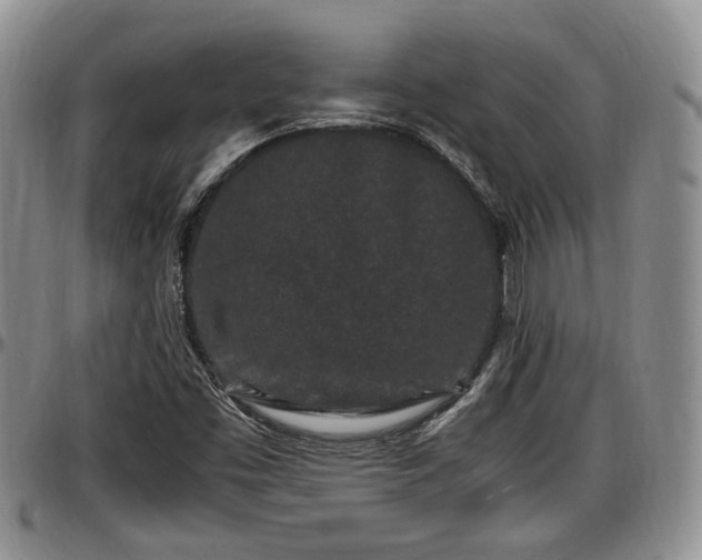 X0000097501453200802291548